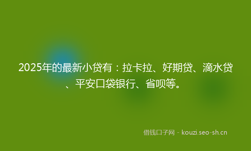 2025年的最新小贷有：拉卡拉、好期贷、滴水贷、平安口袋银行、省呗等。