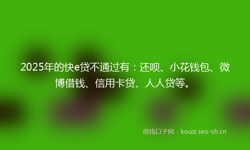 2025年的快e贷不通过有:还呗、小花钱包、微博借钱、信用卡贷、人人贷等。