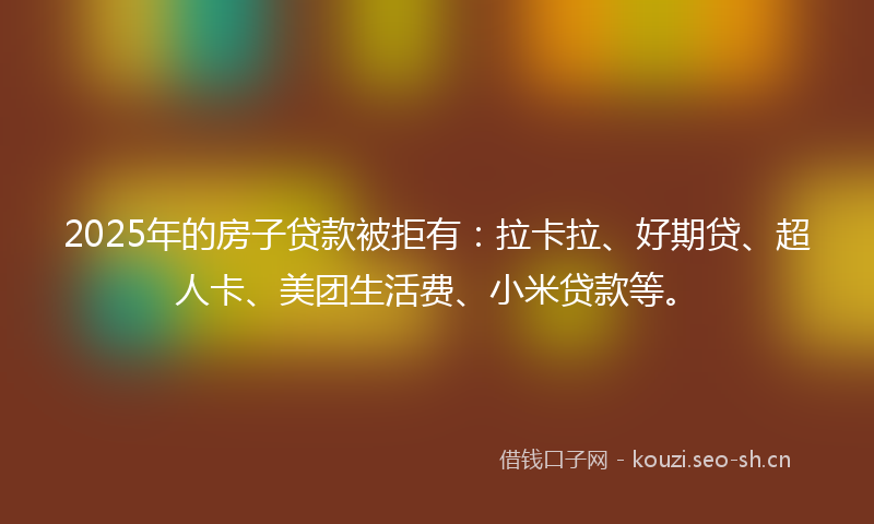 2025年的房子贷款被拒有：拉卡拉、好期贷、超人卡、美团生活费、小米贷款等。