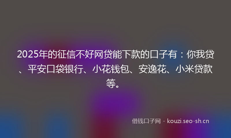 2025年的征信不好网贷能下款的口子有：你我贷、平安口袋银行、小花钱包、安逸花、小米贷款等。