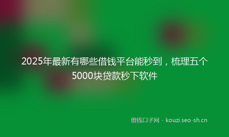 2025年最新有哪些借钱平台能秒到，梳理五个5000块贷款秒下软件
