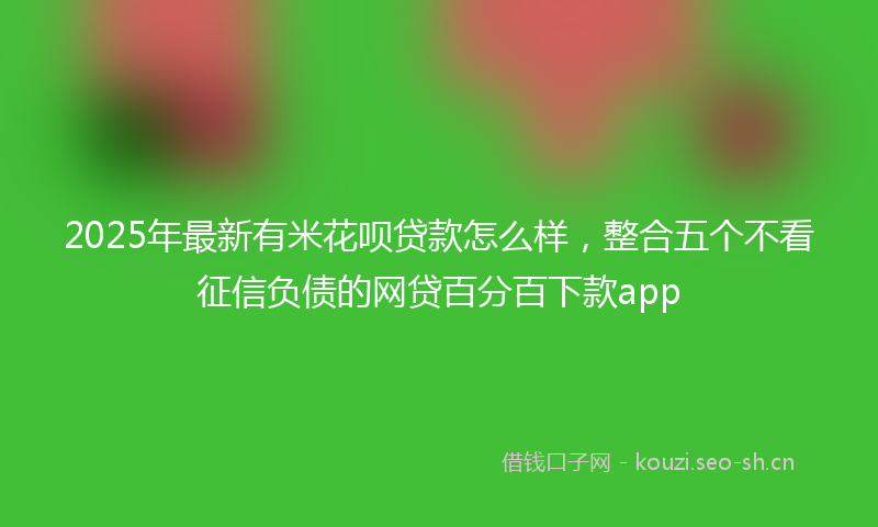 2025年最新有米花呗贷款怎么样，整合五个不看征信负债的网贷百分百下款app