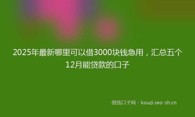 2025年最新哪里可以借3000块钱急用，汇总五个12月能贷款的口子