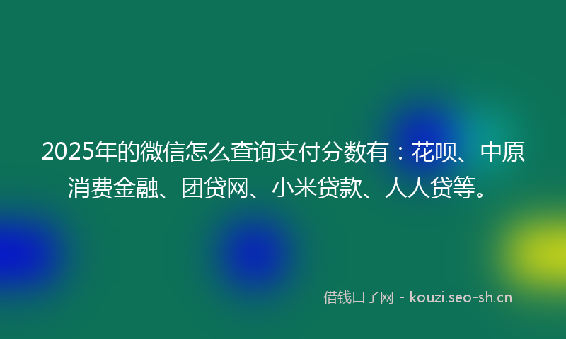 2025年的微信怎么查询支付分数有：花呗、中原消费金融、团贷网、小米贷款、人人贷等。