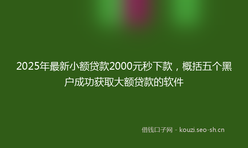 2025年最新小额贷款2000元秒下款，概括五个黑户成功获取大额贷款的软件