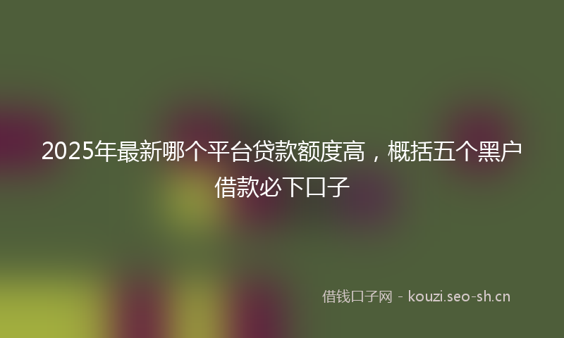 2025年最新哪个平台贷款额度高，概括五个黑户借款必下口子