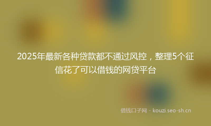 2025年最新各种贷款都不通过风控，整理5个征信花了可以借钱的网贷平台