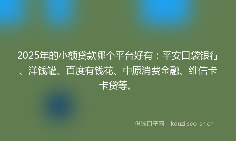 2025年的小额贷款哪个平台好有：平安口袋银行、洋钱罐、百度有钱花、中原消费金融、维信卡卡贷等。