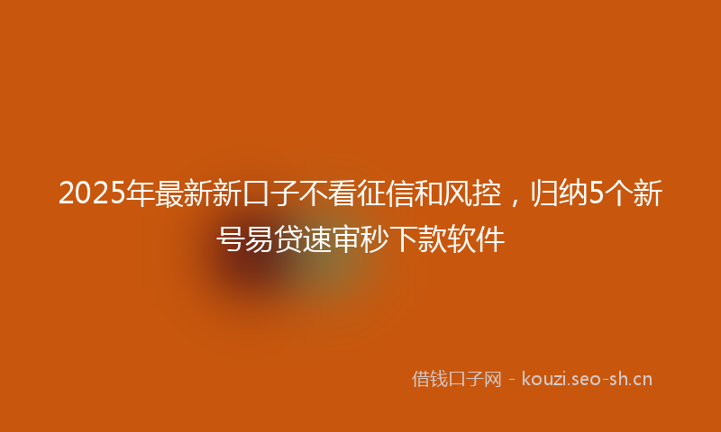 2025年最新新口子不看征信和风控，归纳5个新号易贷速审秒下款软件
