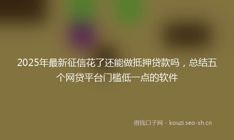 2025年最新征信花了还能做抵押贷款吗，总结五个网贷平台门槛低一点的软件