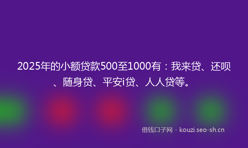 2025年的小额贷款500至1000有：我来贷、还呗、随身贷、平安i贷、人人贷等。