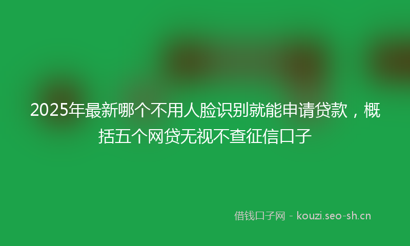 2025年最新哪个不用人脸识别就能申请贷款，概括五个网贷无视不查征信口子
