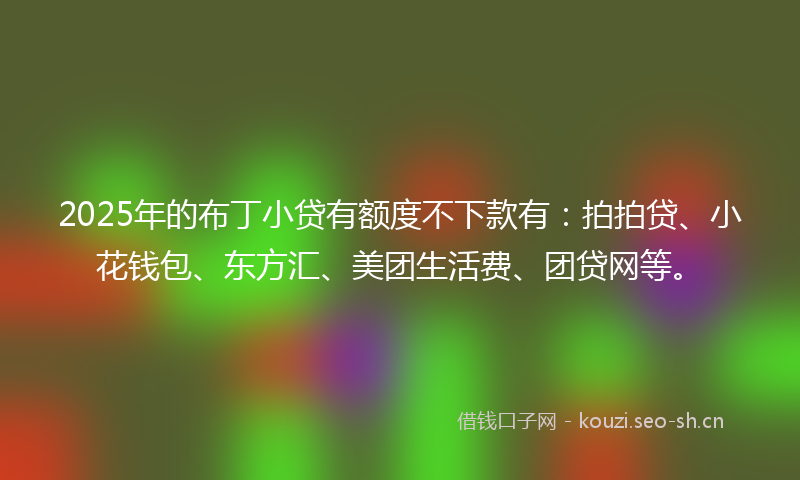 2025年的布丁小贷有额度不下款有：拍拍贷、小花钱包、东方汇、美团生活费、团贷网等。