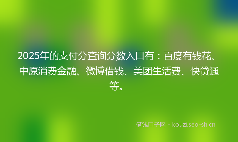 2025年的支付分查询分数入口有：百度有钱花、中原消费金融、微博借钱、美团生活费、快贷通等。