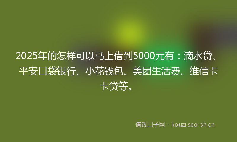 2025年的怎样可以马上借到5000元有：滴水贷、平安口袋银行、小花钱包、美团生活费、维信卡卡贷等。