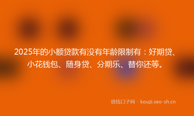 2025年的小额贷款有没有年龄限制有：好期贷、小花钱包、随身贷、分期乐、替你还等。