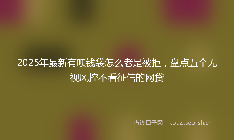 2025年最新有呗钱袋怎么老是被拒，盘点五个无视风控不看征信的网贷