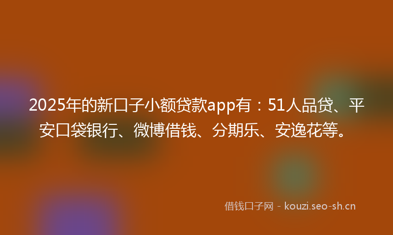 2025年的新口子小额贷款app有：51人品贷、平安口袋银行、微博借钱、分期乐、安逸花等。