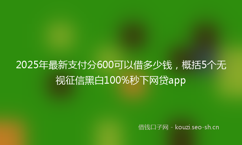 2025年最新支付分600可以借多少钱，概括5个无视征信黑白100%秒下网贷app