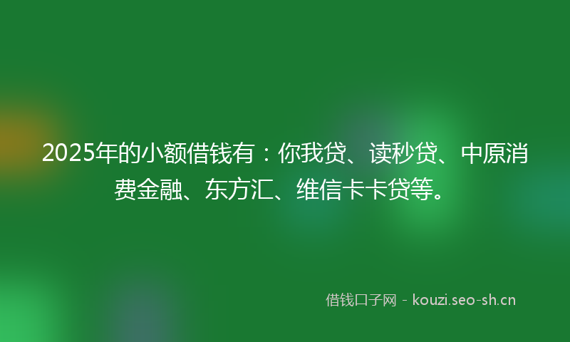2025年的小额借钱有：你我贷、读秒贷、中原消费金融、东方汇、维信卡卡贷等。