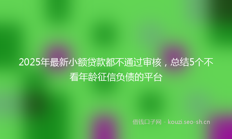 2025年最新小额贷款都不通过审核，总结5个不看年龄征信负债的平台