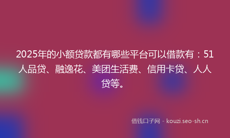 2025年的小额贷款都有哪些平台可以借款有：51人品贷、融逸花、美团生活费、信用卡贷、人人贷等。