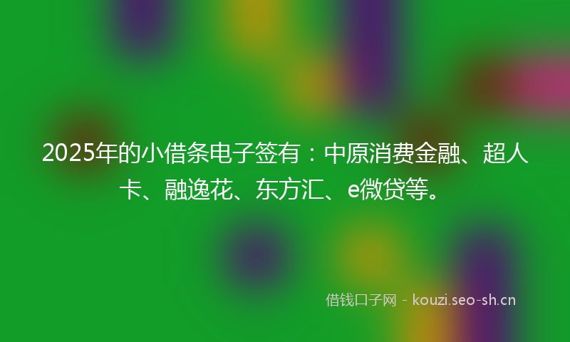 2025年的小借条电子签有：中原消费金融、超人卡、融逸花、东方汇、e微贷等。