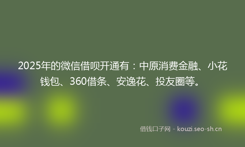 2025年的微信借呗开通有：中原消费金融、小花钱包、360借条、安逸花、投友圈等。