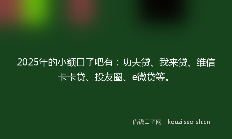 2025年的小额口子吧有：功夫贷、我来贷、维信卡卡贷、投友圈、e微贷等。
