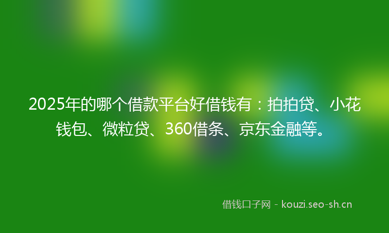 2025年的哪个借款平台好借钱有：拍拍贷、小花钱包、微粒贷、360借条、京东金融等。