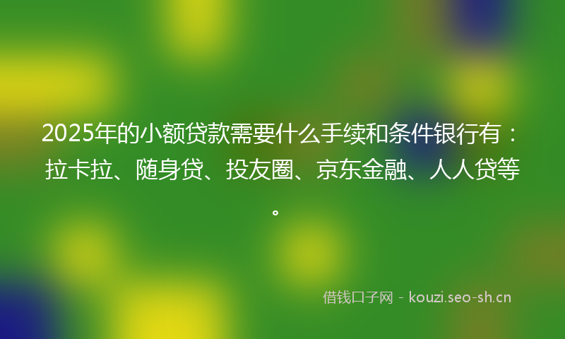 2025年的小额贷款需要什么手续和条件银行有：拉卡拉、随身贷、投友圈、京东金融、人人贷等。