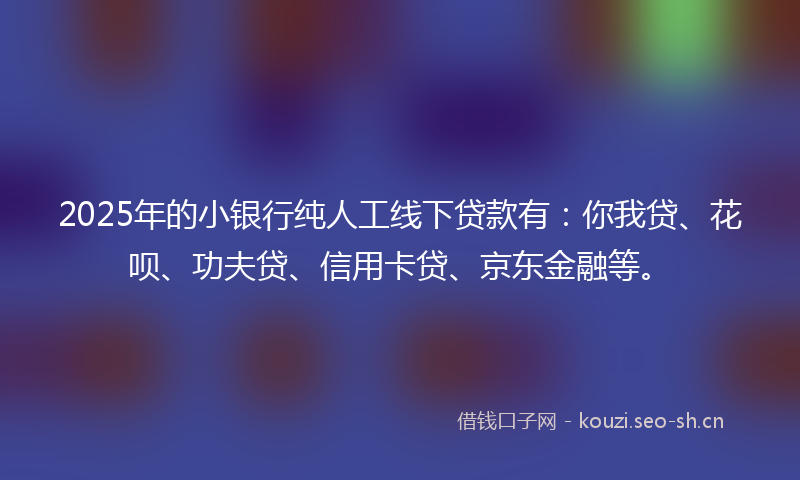 2025年的小银行纯人工线下贷款有：你我贷、花呗、功夫贷、信用卡贷、京东金融等。