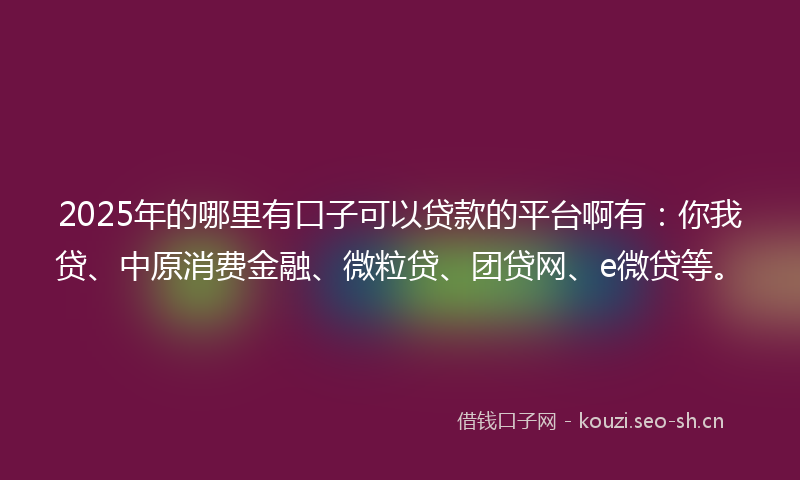 2025年的哪里有口子可以贷款的平台啊有:你我贷、中原消费金融、微粒贷、团贷网、e微贷等。