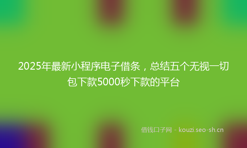 2025年最新小程序电子借条，总结五个无视一切包下款5000秒下款的平台