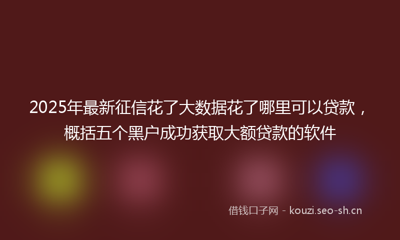 2025年最新征信花了大数据花了哪里可以贷款，概括五个黑户成功获取大额贷款的软件