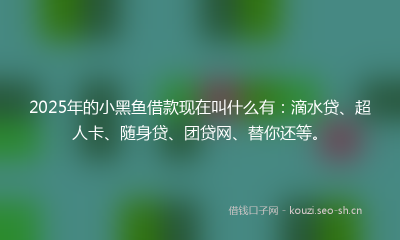 2025年的小黑鱼借款现在叫什么有：滴水贷、超人卡、随身贷、团贷网、替你还等。