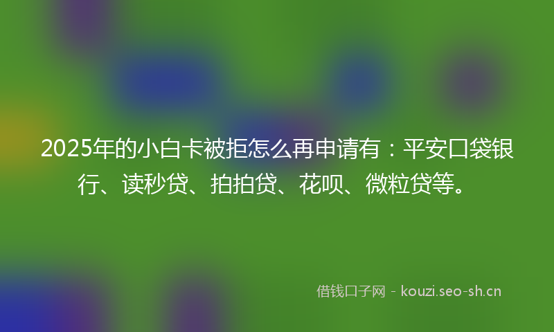 2025年的小白卡被拒怎么再申请有：平安口袋银行、读秒贷、拍拍贷、花呗、微粒贷等。