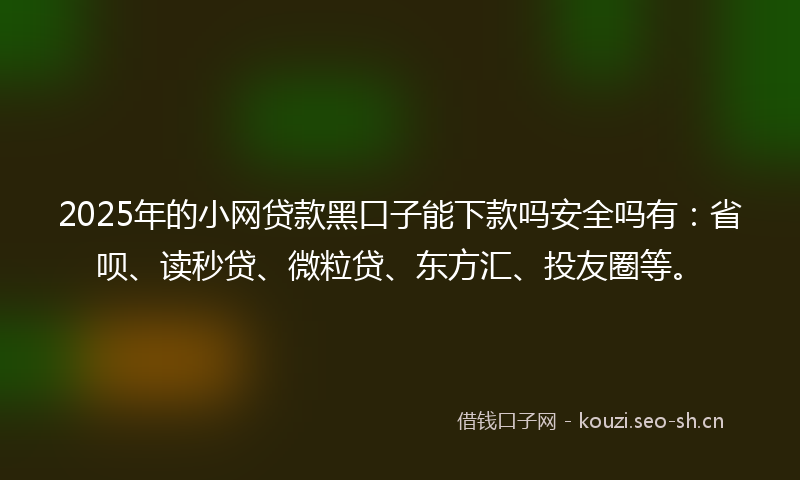 2025年的小网贷款黑口子能下款吗安全吗有：省呗、读秒贷、微粒贷、东方汇、投友圈等。