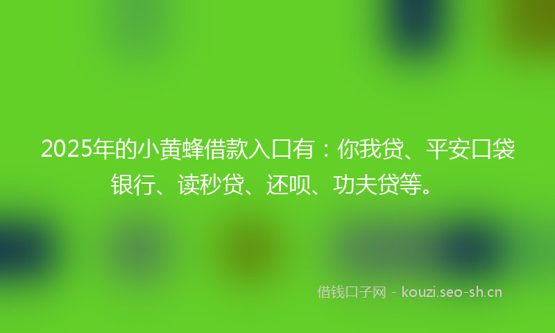 2025年的小黄蜂借款入口有：你我贷、平安口袋银行、读秒贷、还呗、功夫贷等。