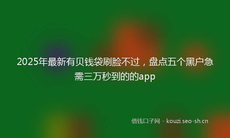 2025年最新有贝钱袋刷脸不过，盘点五个黑户急需三万秒到的的app
