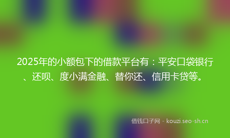 2025年的小额包下的借款平台有：平安口袋银行、还呗、度小满金融、替你还、信用卡贷等。
