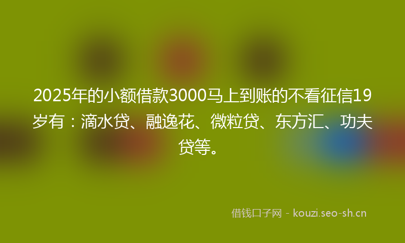 2025年的小额借款3000马上到账的不看征信19岁有:滴水贷、融逸花、微粒贷、东方汇、功夫贷等。