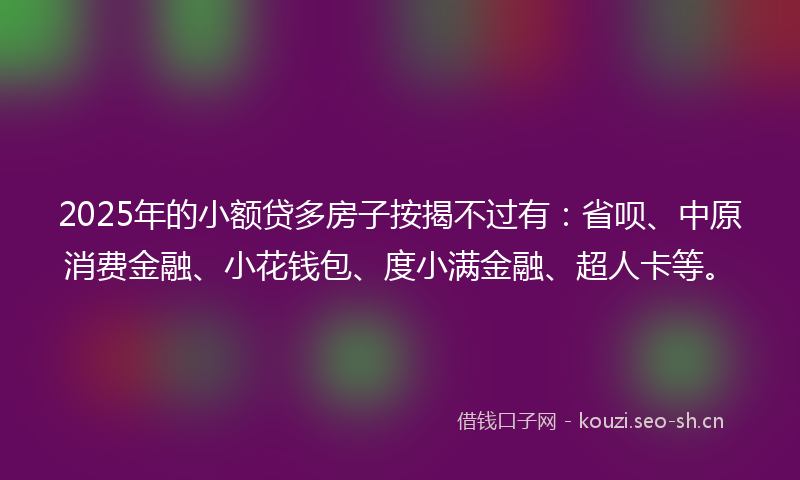 2025年的小额贷多房子按揭不过有：省呗、中原消费金融、小花钱包、度小满金融、超人卡等。