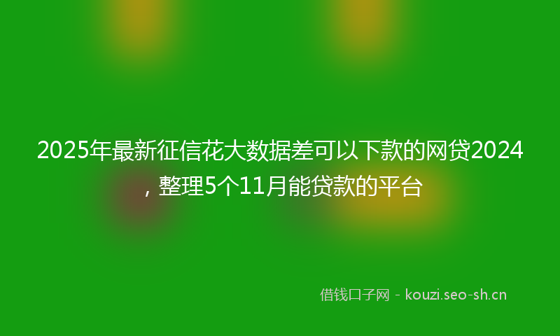 2025年最新征信花大数据差可以下款的网贷2024，整理5个11月能贷款的平台