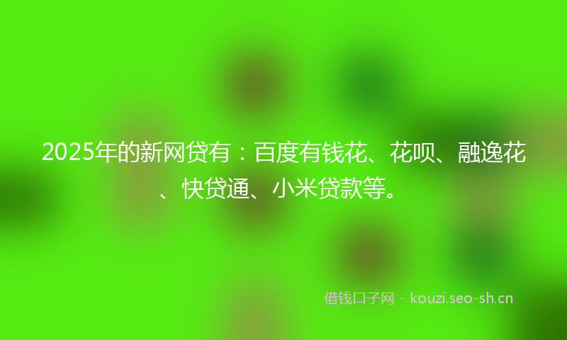 2025年的新网贷有：百度有钱花、花呗、融逸花、快贷通、小米贷款等。