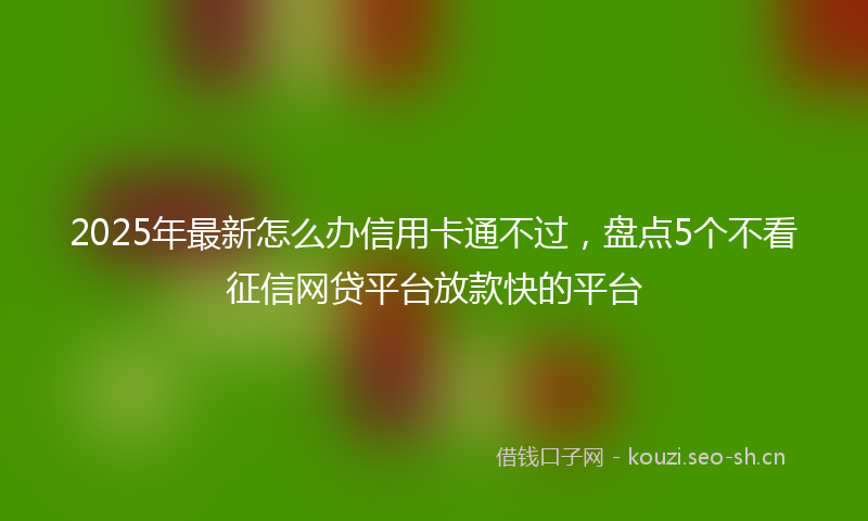 2025年最新怎么办信用卡通不过，盘点5个不看征信网贷平台放款快的平台