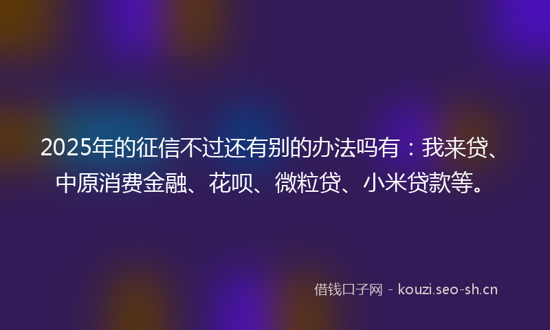 2025年的征信不过还有别的办法吗有：我来贷、中原消费金融、花呗、微粒贷、小米贷款等。