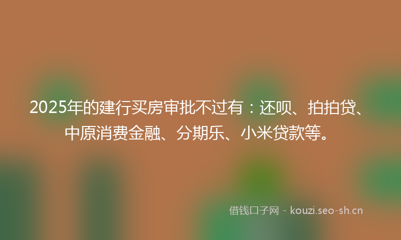 2025年的建行买房审批不过有：还呗、拍拍贷、中原消费金融、分期乐、小米贷款等。
