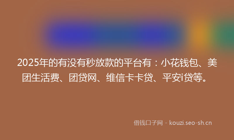 2025年的有没有秒放款的平台有：小花钱包、美团生活费、团贷网、维信卡卡贷、平安i贷等。