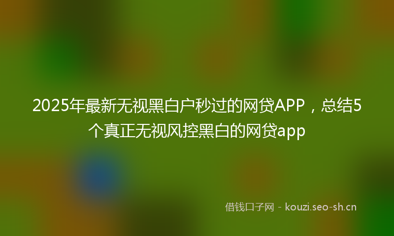 2025年最新无视黑白户秒过的网贷APP，总结5个真正无视风控黑白的网贷app